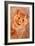 Ginger Cat, 1931-Louis Wain-Framed Giclee Print