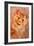 Ginger Cat, 1931-Louis Wain-Framed Giclee Print