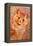 Ginger Cat, 1931-Louis Wain-Framed Premier Image Canvas