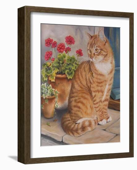 Ginger Cat on Doorstep-Janet Pidoux-Framed Giclee Print