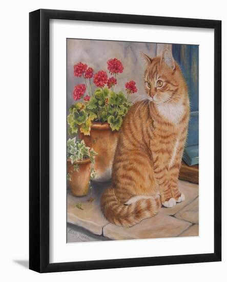 Ginger Cat on Doorstep-Janet Pidoux-Framed Giclee Print