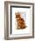 Ginger Cat with Crown Full-Fab Funky-Framed Art Print