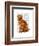 Ginger Cat with Crown Full-Fab Funky-Framed Art Print