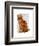 Ginger Cat with Crown Full-Fab Funky-Framed Art Print