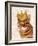 Ginger Cat with Crown Portrait-Fab Funky-Framed Art Print