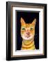 Ginger Cat-Sharyn Bursic-Framed Photographic Print