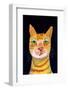Ginger Cat-Sharyn Bursic-Framed Photographic Print