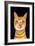 Ginger Cat-Sharyn Bursic-Framed Premium Giclee Print