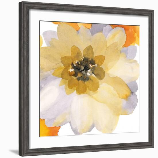 Ginger Gold II-Sandra Jacobs-Framed Art Print