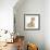 Ginger Kitten, 7 Weeks, and Baby Sandy Lop Rabbit-Mark Taylor-Framed Photographic Print displayed on a wall