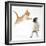 Ginger Kitten Leaping Towards a Pug Puppy-Mark Taylor-Framed Photographic Print