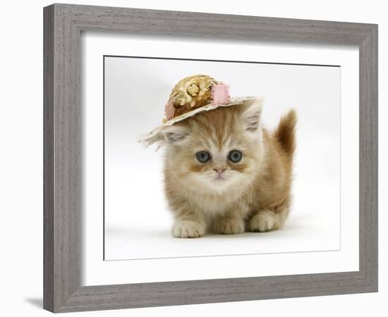 Ginger Kitten Wearing a Straw Hat-Mark Taylor-Framed Photographic Print