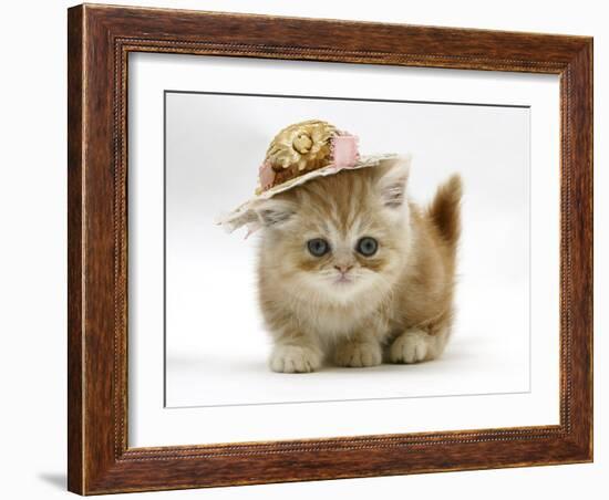 Ginger Kitten Wearing a Straw Hat-Mark Taylor-Framed Photographic Print