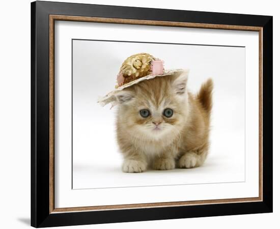 Ginger Kitten Wearing a Straw Hat-Mark Taylor-Framed Photographic Print