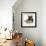 Ginger Kitten with German Shepherd Dog (Alsatian) Bitch Puppy, Echo-Mark Taylor-Framed Photographic Print displayed on a wall