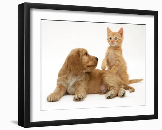 Ginger Kitten with Golden Cocker Spaniel Puppy-Jane Burton-Framed Photographic Print