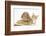 Ginger Kitten with Sandy Lionhead-Lop Rabbit-Mark Taylor-Framed Photographic Print