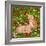 Ginger Kittens in Red Poppies-Janet Pidoux-Framed Giclee Print