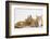 Ginger Kittens with Sandy Lionhead-Lop Rabbit-Mark Taylor-Framed Photographic Print