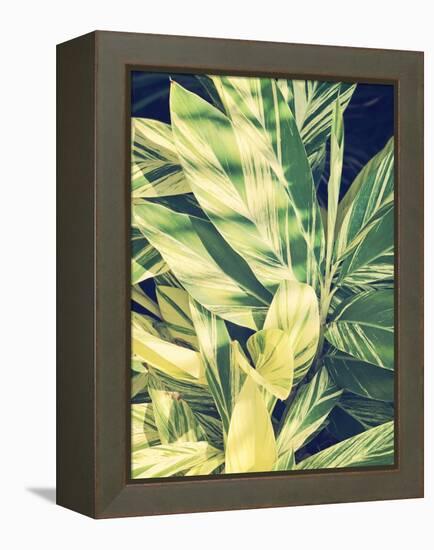 Ginger Leaves-Ashley Davis-Framed Stretched Canvas