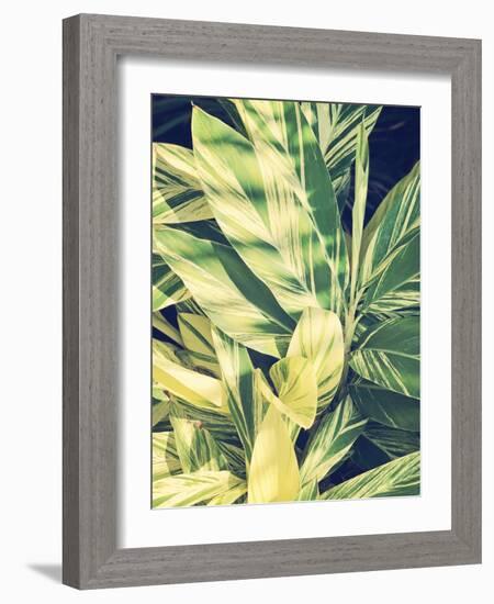 Ginger Leaves-Ashley Davis-Framed Art Print