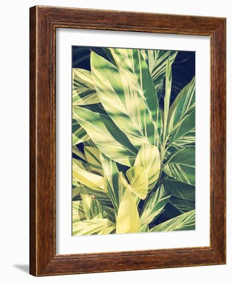 Ginger Leaves-Ashley Davis-Framed Art Print