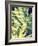 Ginger Leaves-Ashley Davis-Framed Art Print