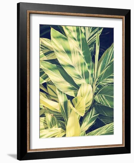 Ginger Leaves-Ashley Davis-Framed Art Print