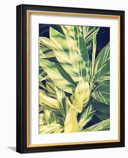 Ginger Leaves-Ashley Davis-Framed Art Print