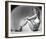 Ginger Rogers - Heartbeat-null-Framed Photo