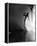 Ginger Rogers-null-Framed Stretched Canvas