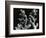 Ginger Root, c. 1985-Brett Weston-Framed Photographic Print