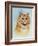 Ginger Tom-Louis Wain-Framed Giclee Print