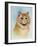 Ginger Tom-Louis Wain-Framed Giclee Print