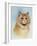 Ginger Tom-Louis Wain-Framed Giclee Print