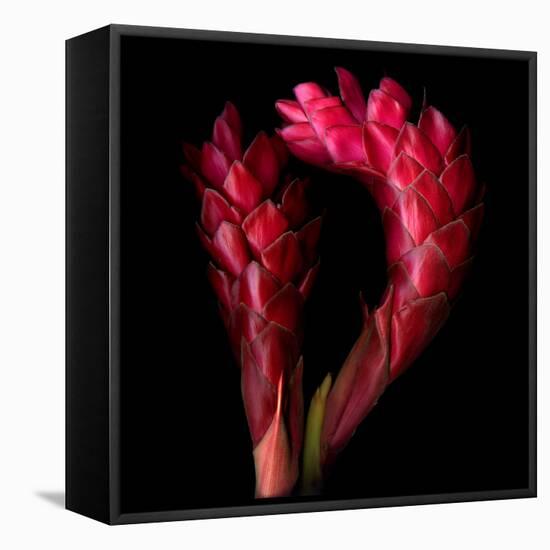 Ginger-Magda Indigo-Framed Premier Image Canvas