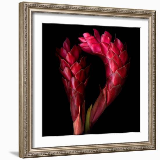 Ginger-Magda Indigo-Framed Photographic Print