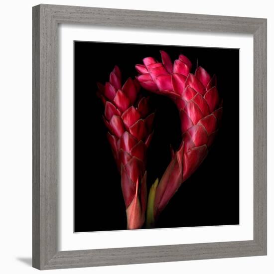 Ginger-Magda Indigo-Framed Photographic Print