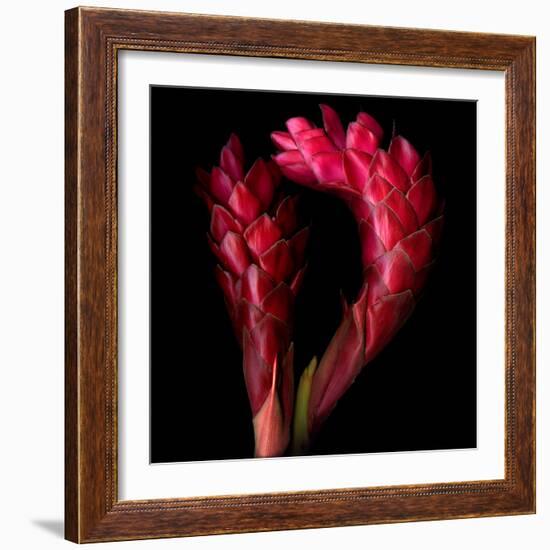 Ginger-Magda Indigo-Framed Photographic Print