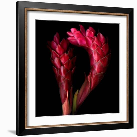 Ginger-Magda Indigo-Framed Photographic Print