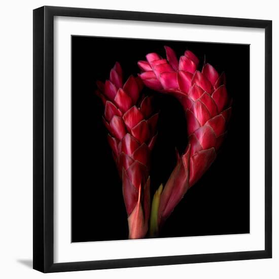 Ginger-Magda Indigo-Framed Photographic Print