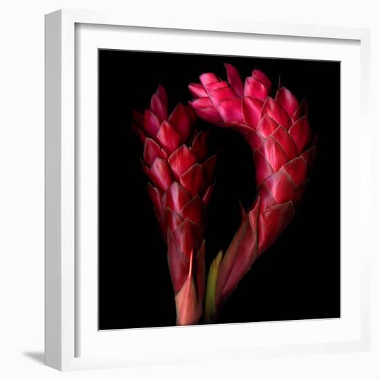 Ginger-Magda Indigo-Framed Photographic Print