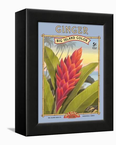 Ginger-Kerne Erickson-Framed Stretched Canvas