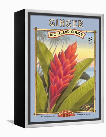 Ginger-Kerne Erickson-Framed Stretched Canvas