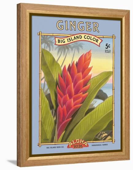 Ginger-Kerne Erickson-Framed Stretched Canvas