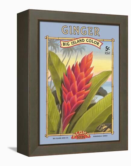 Ginger-Kerne Erickson-Framed Stretched Canvas