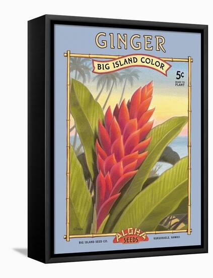 Ginger-Kerne Erickson-Framed Stretched Canvas