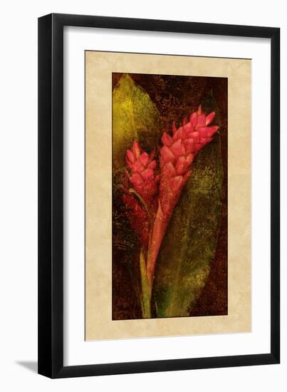 Ginger-John Seba-Framed Art Print