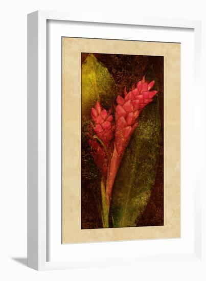 Ginger-John Seba-Framed Art Print