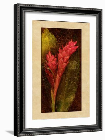 Ginger-John Seba-Framed Art Print